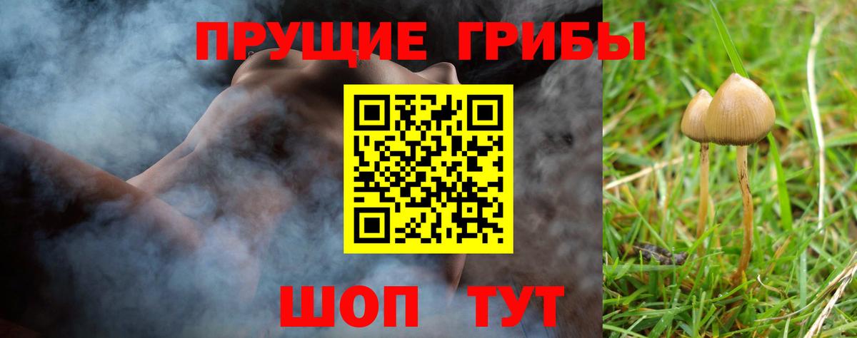Псилоцибиновые грибы GOLDEN TEACHER Кыштым